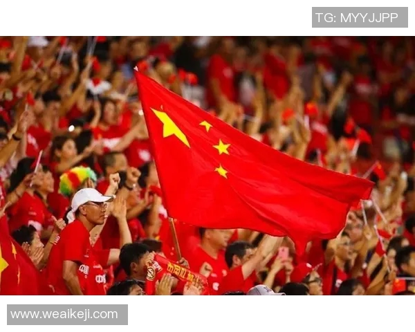 曾经为中国足球出战的国际球星有哪些他们的表现如何